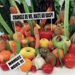 Le gaspillage alimentaire : chiffres et solutions